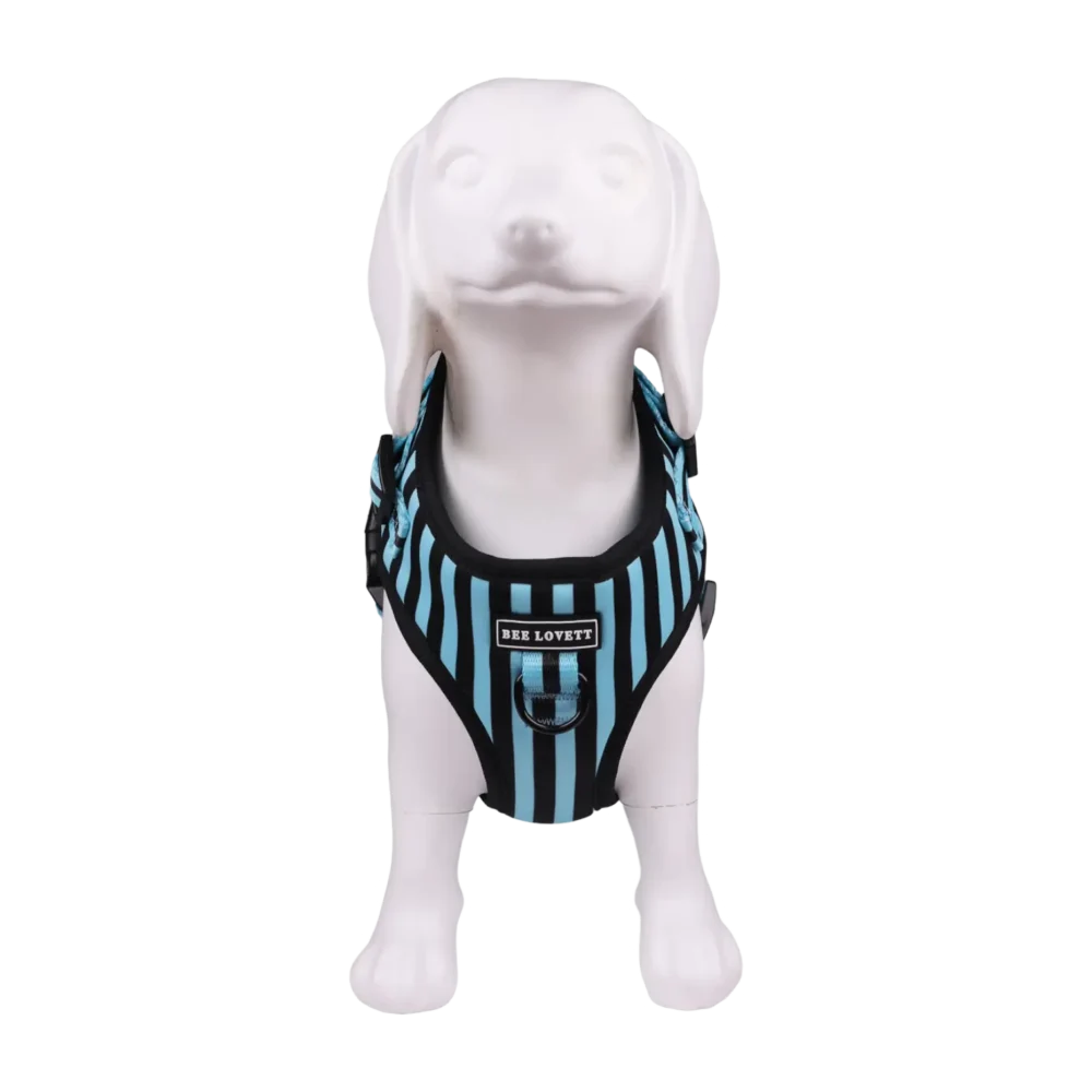 Adjustable Harness - Aqua Stripes - Image 5