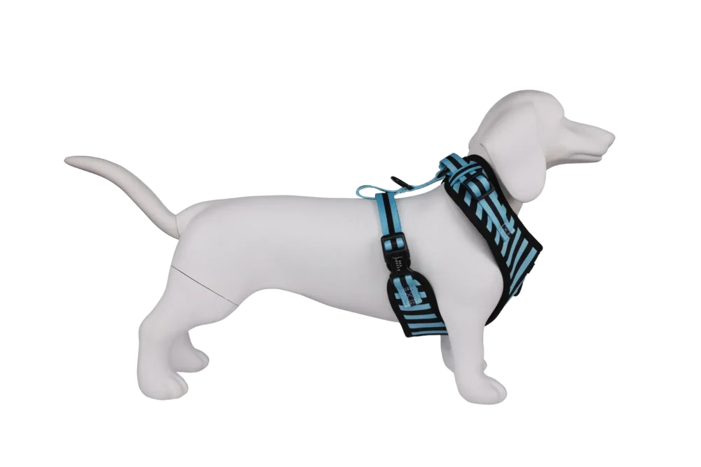 Adjustable Harness - Aqua Stripes - Image 7