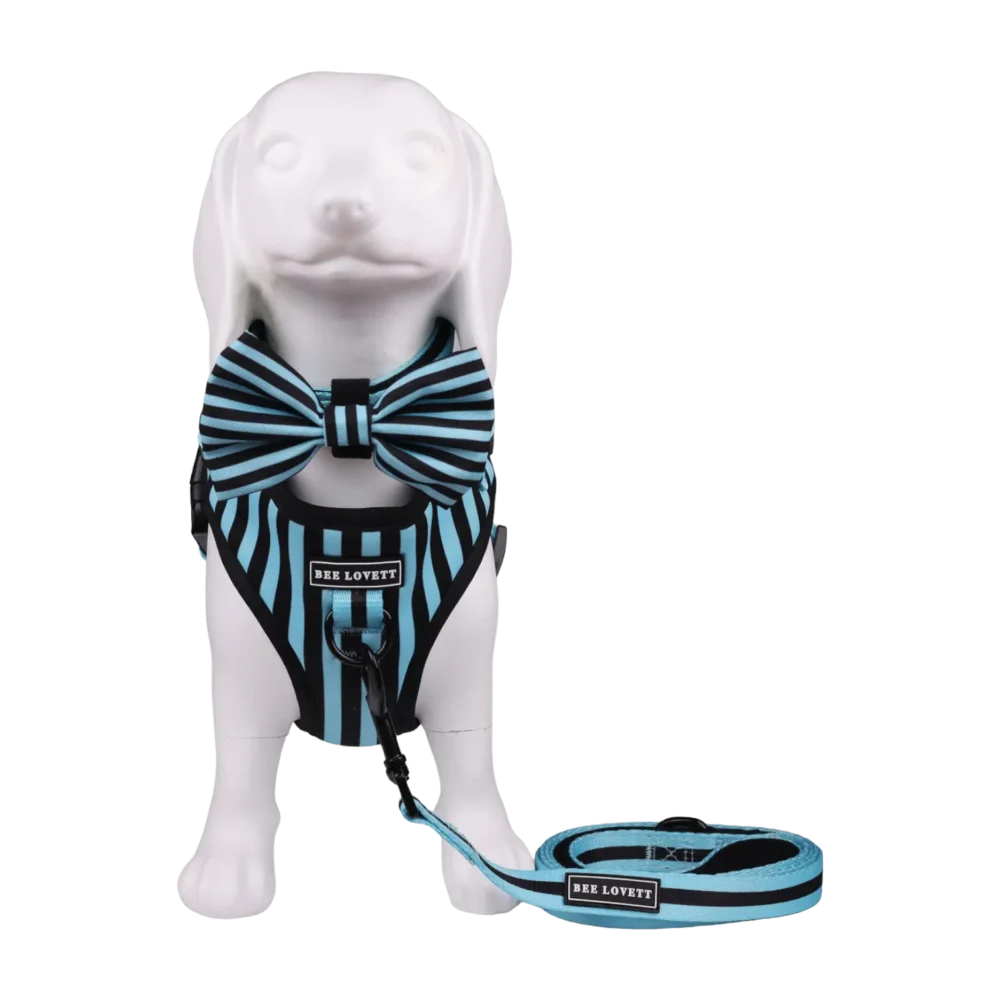 Adjustable Harness - Aqua Stripes - Image 4