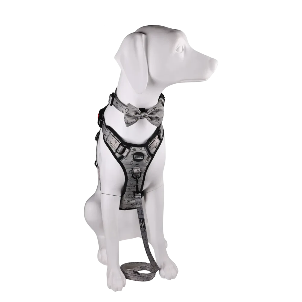 All-Rounder Harness - Bee-You-Tiful - Image 10