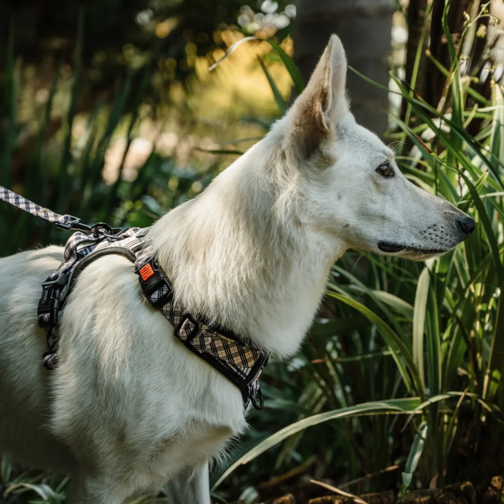 All-Rounder Harness - Plaids - Image 17