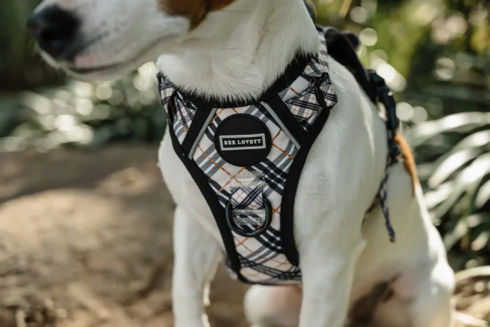 All-Rounder Harness - Plaids - Image 16