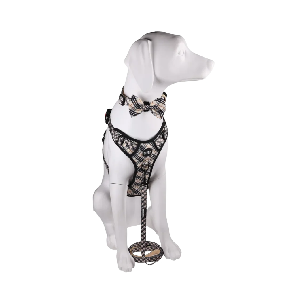 All-Rounder Harness - Plaids - Image 11