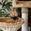 Cat Collar - Velvet - Black - Image 6