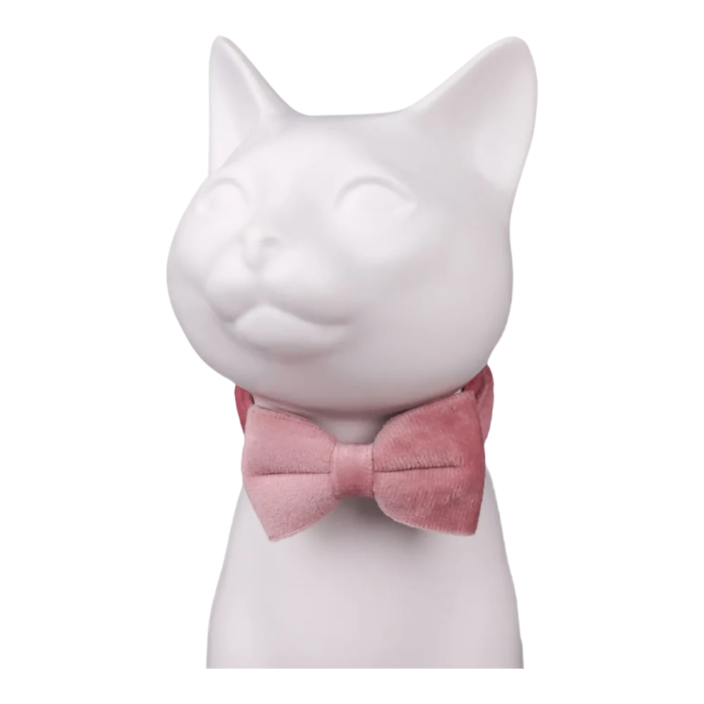 Cat Collar - Velvet - Pink - Image 4