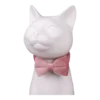Cat Collar - Velvet - Pink - Image 4