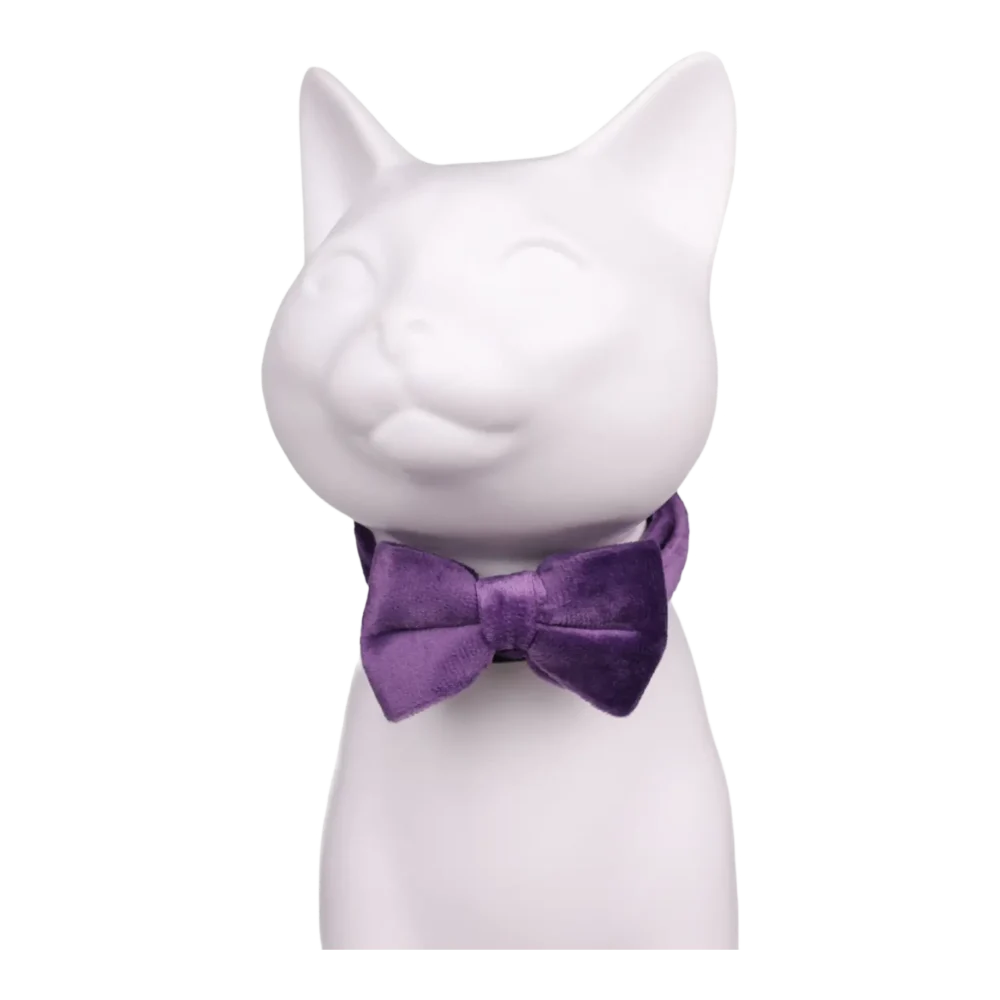 Cat Collar - Velvet - Purple - Image 4