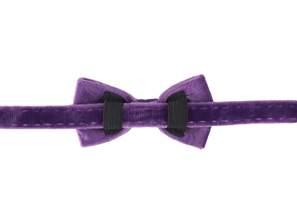 Cat Collar - Velvet - Purple - Image 3