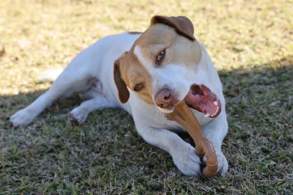 Chew Toy For Dogs - Toughie Tug - Brown - Image 6