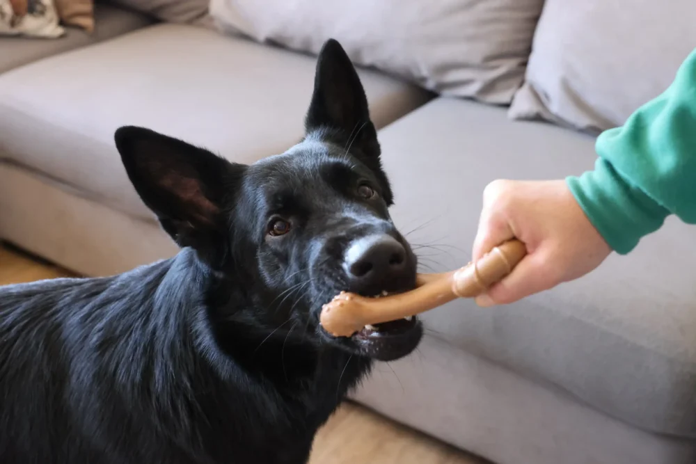 Chew Toy For Dogs - Toughie Tug - Brown - Image 5