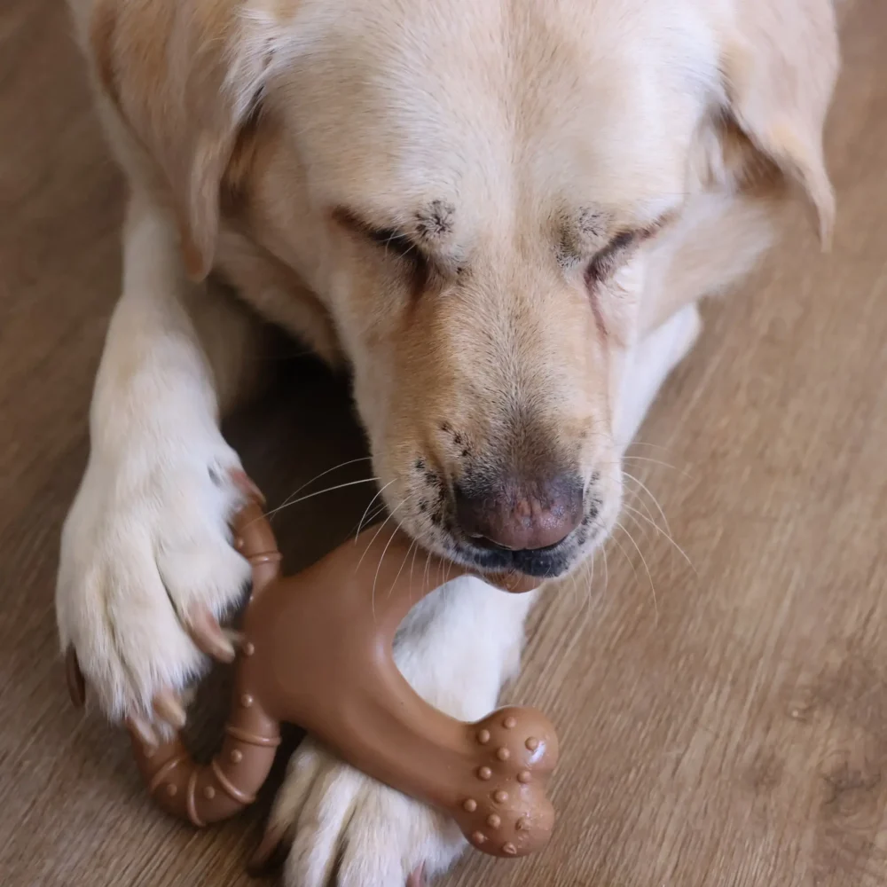 Chew Toy For Dogs - Toughie Tug - Brown - Image 4