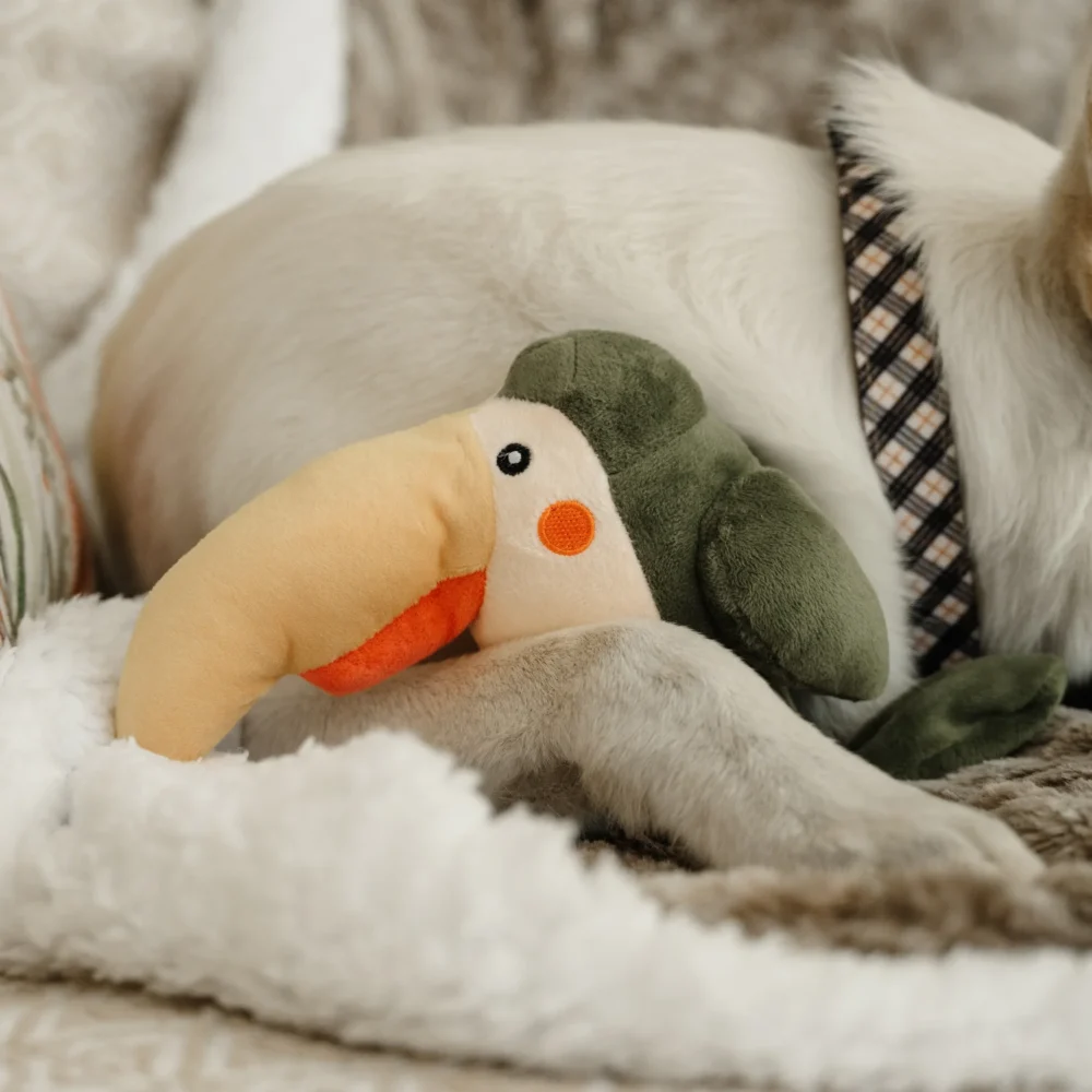 Plush Toys For Dogs - Zoofari Collection - Buddy The Bird - Image 7