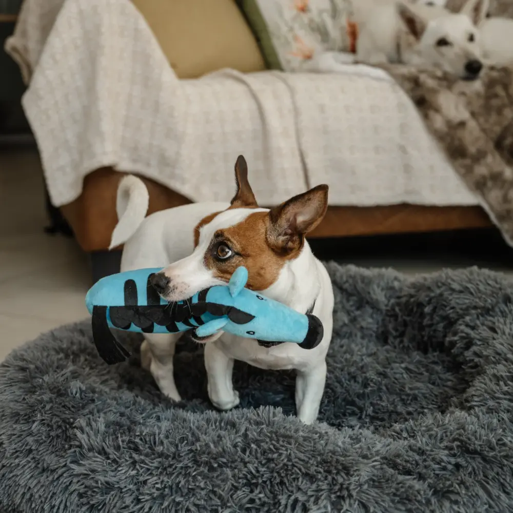 Dog Plush Calming Pet Bed - Dark Grey - Image 7