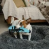 Plush Toys For Dogs - Zoofari Collection - Debra The Zebra - Image 3