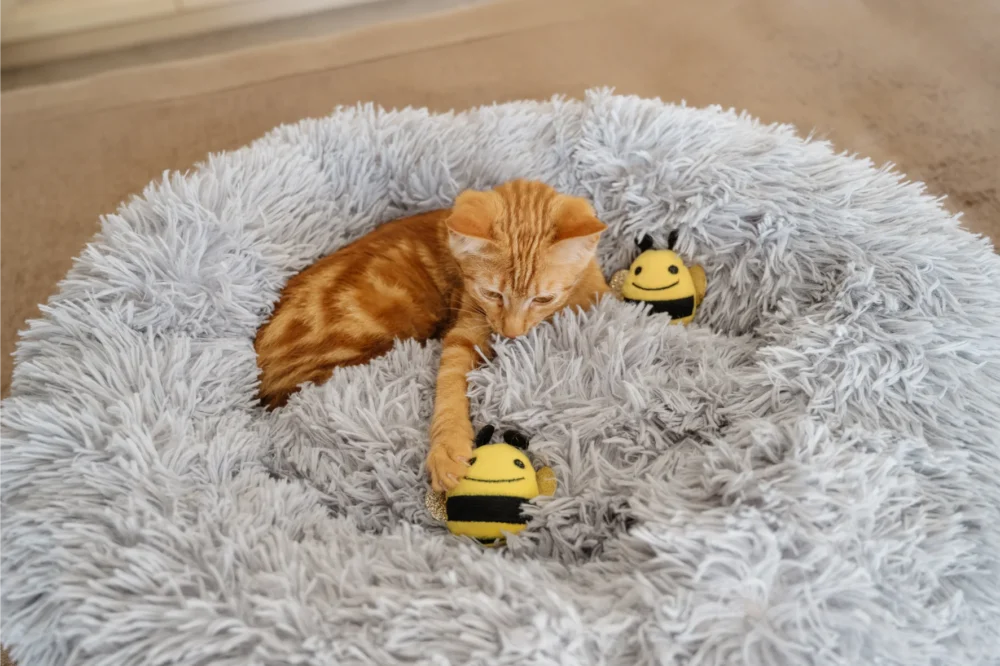 Toys For Cats - Bee Plush Toy With Catnip - Image 7