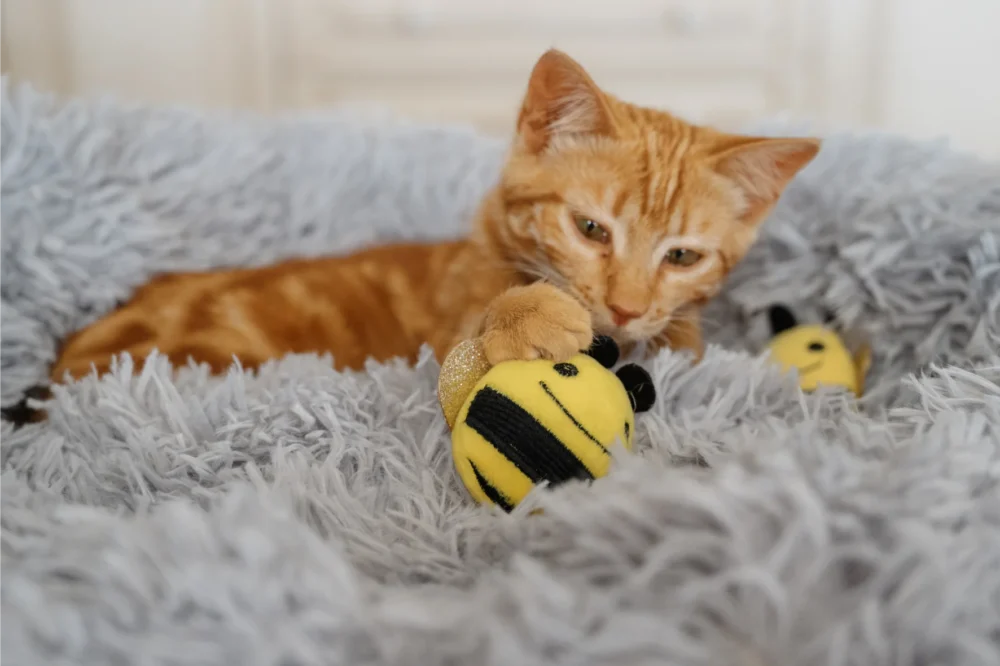 Toys For Cats - Ladybug Plush Toy With Catnip - Image 4