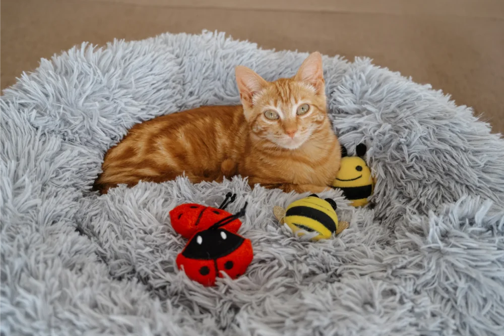 Toys For Cats - Bee Plush Toy With Catnip - Image 4