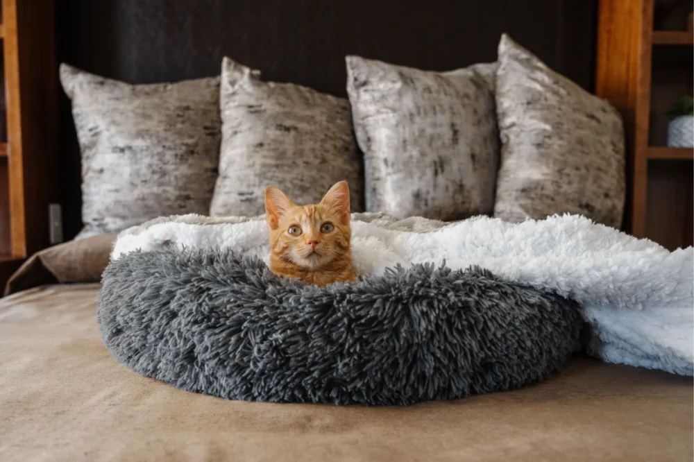 Cat Plush Calming Pet Bed - Dark Grey - Image 5