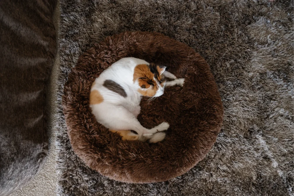 Cat Plush Calming Pet Bed - Chocolate - Image 7