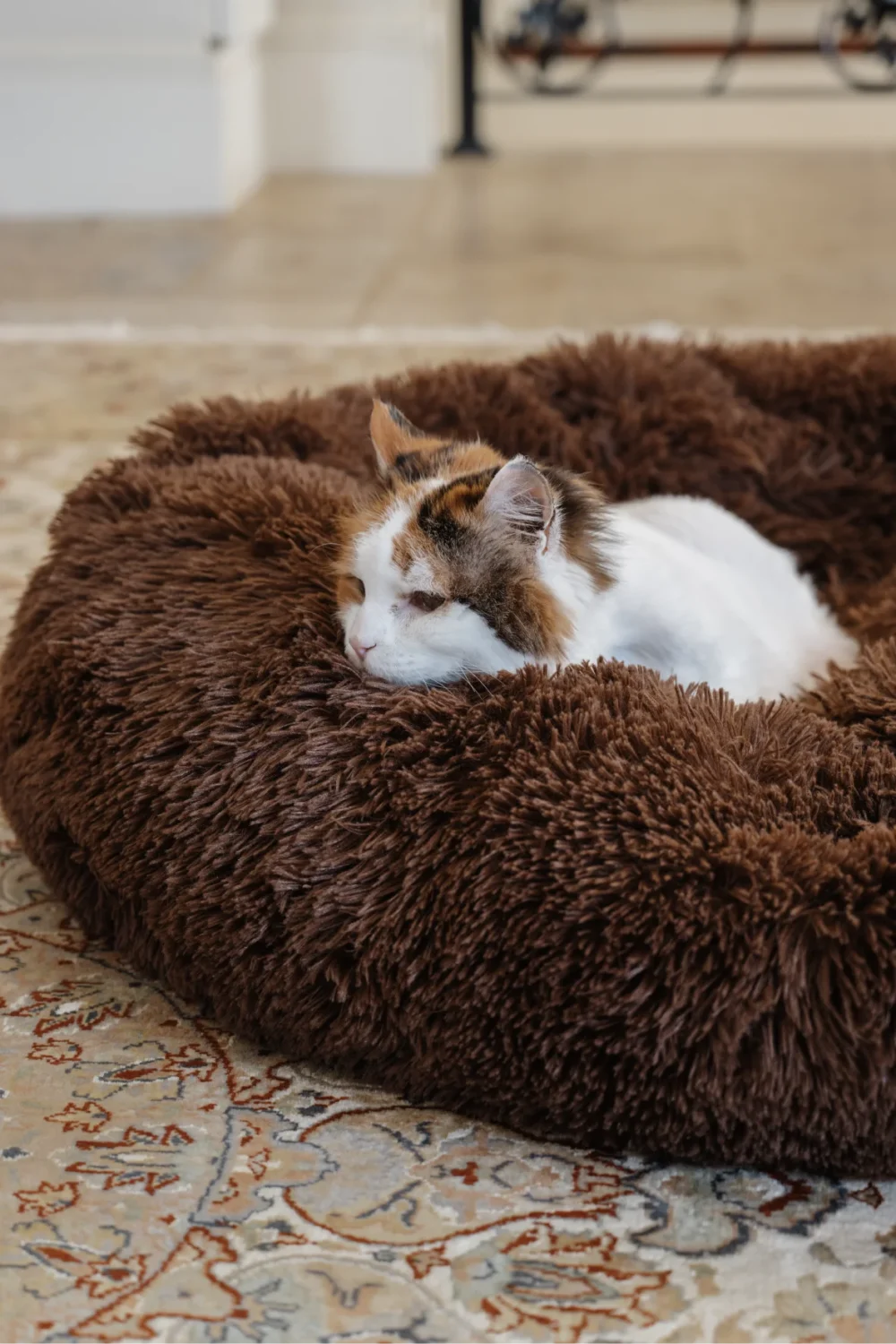 Cat Plush Calming Pet Bed - Chocolate - Image 3