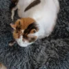 Cat Plush Calming Pet Bed - Dark Grey - Image 4
