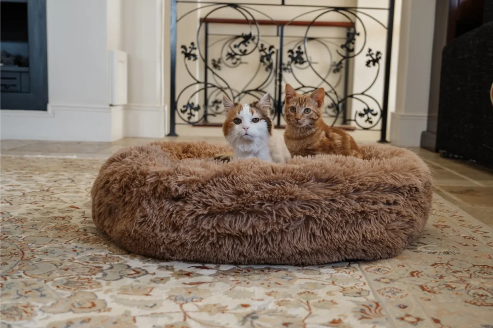 Cat Plush Calming Pet Bed - Cappuccino - Image 6