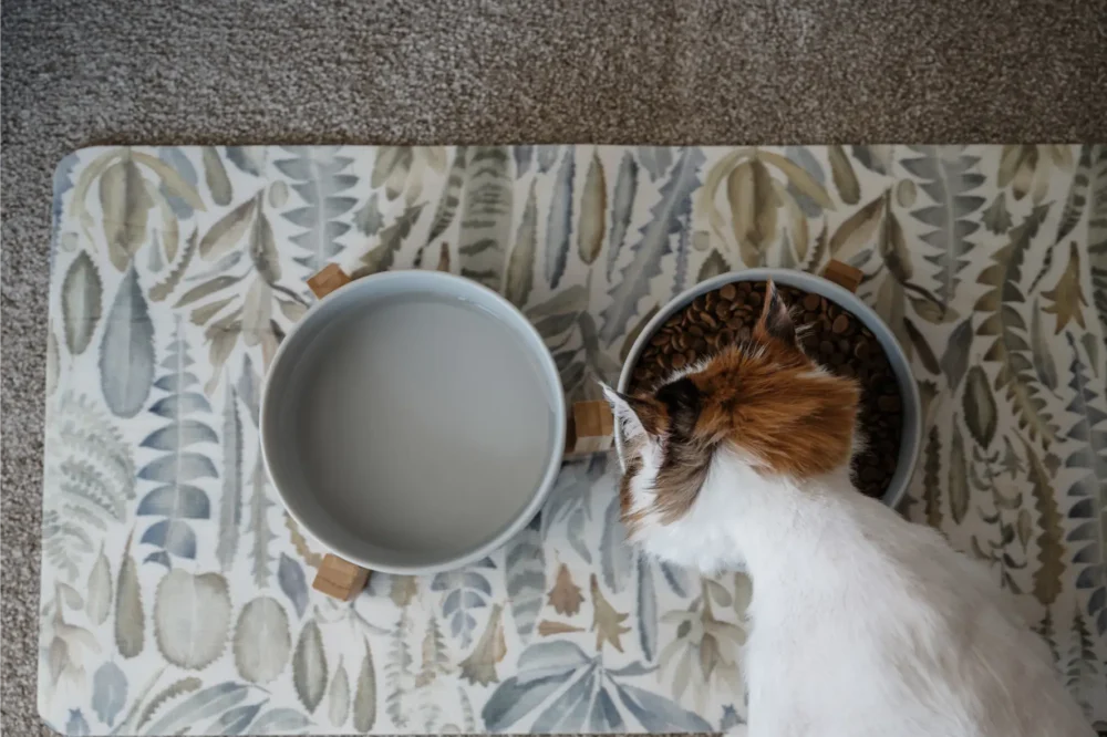 Cat Ceramic Pet Bowls With Bamboo Stand - Grey - Image 5