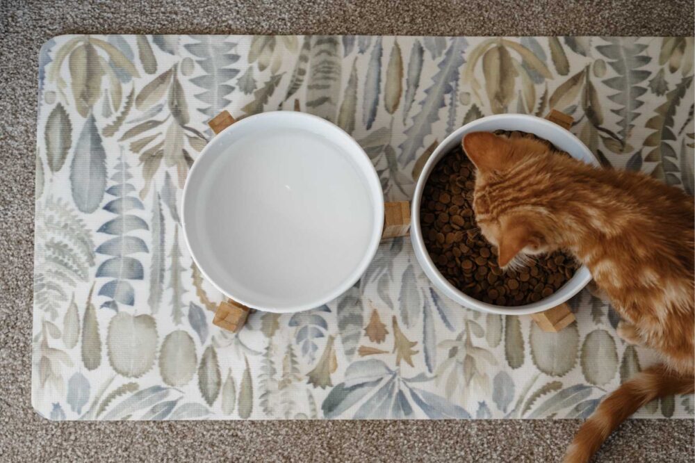 Cat Ceramic Pet Bowls With Bamboo Stand - White - Image 6