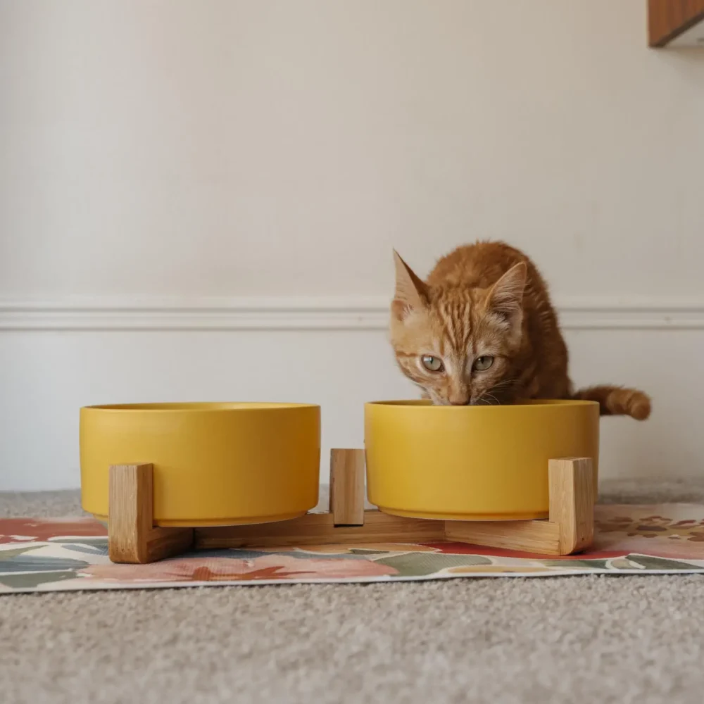 Cat Ceramic Pet Bowls With Bamboo Stand - Yellow - Image 3