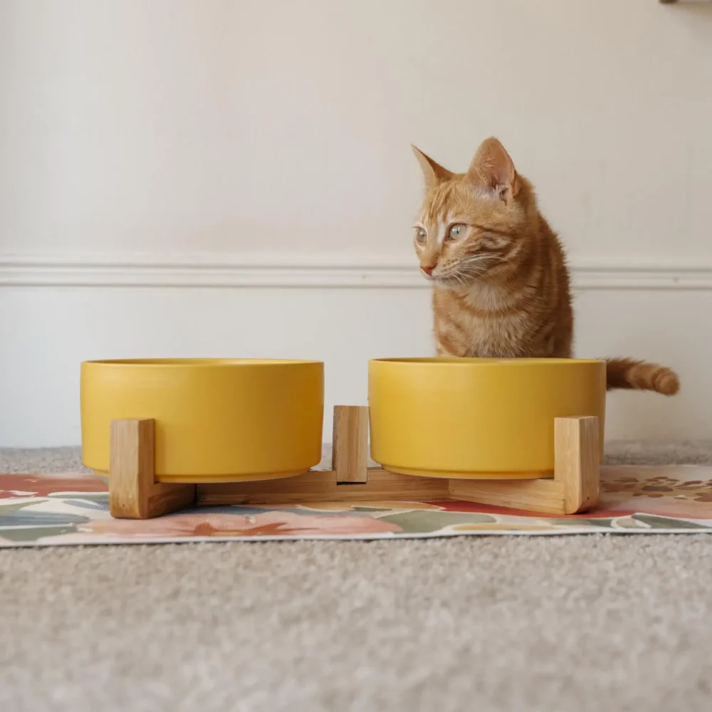 Cat Ceramic Pet Bowls With Bamboo Stand - Yellow - Image 4