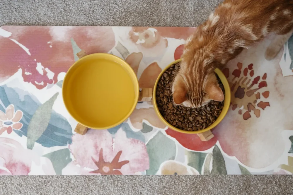 Cat Ceramic Pet Bowls With Bamboo Stand - Yellow - Image 5