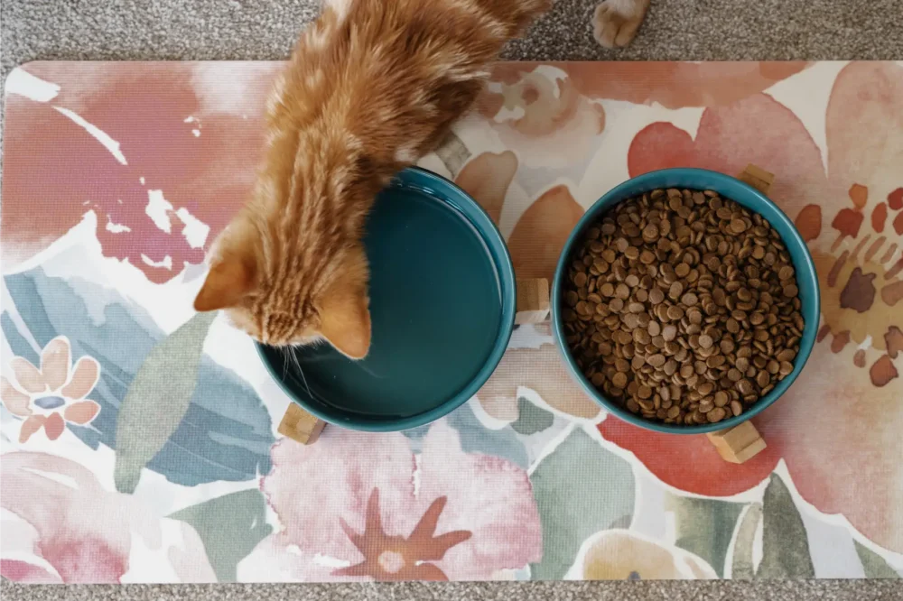 Cat Ceramic Pet Bowls With Bamboo Stand - Green - Image 3