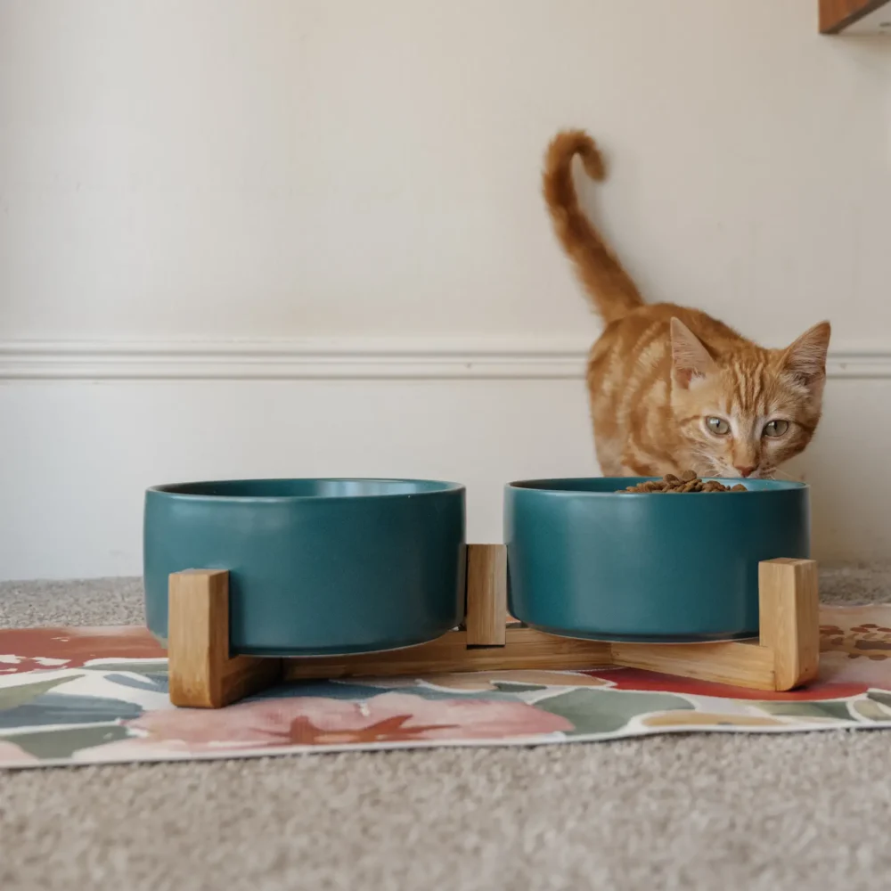 Cat Ceramic Pet Bowls With Bamboo Stand - Green - Image 4