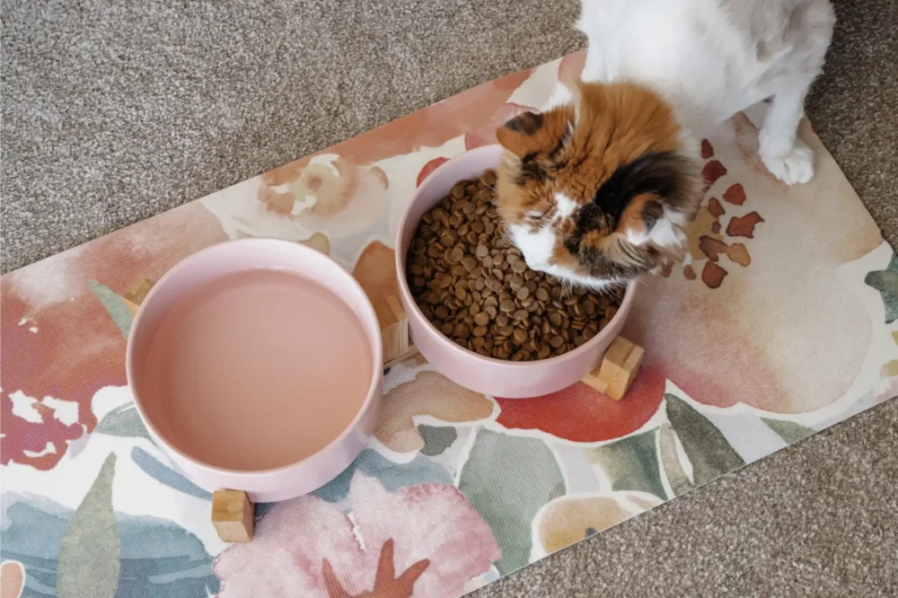 Cat Ceramic Pet Bowls With Bamboo Stand - Pink - Image 4