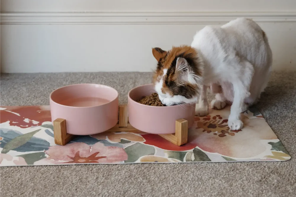 Cat Ceramic Pet Bowls With Bamboo Stand - Pink - Image 3