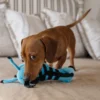Plush Toys For Dogs - Zoofari Collection - Debra The Zebra - Image 7