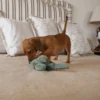 Plush Toys For Dogs - Zoofari Collection - Buddy The Bird - Image 4