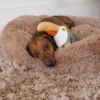 Plush Toys For Dogs - Zoofari Collection - Buddy The Bird - Image 6