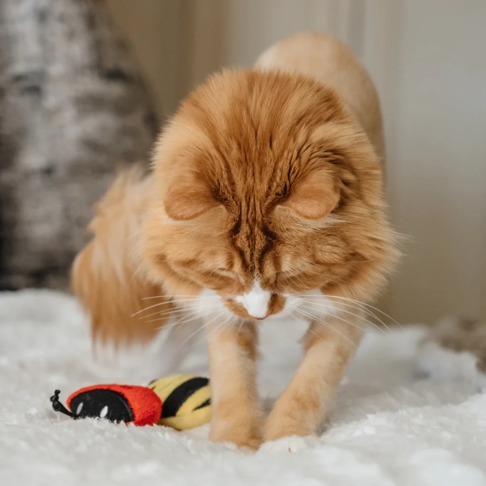 Toys For Cats - Ladybug Plush Toy With Catnip - Image 6