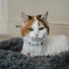 Cat Plush Calming Pet Bed - Dark Grey - Image 3