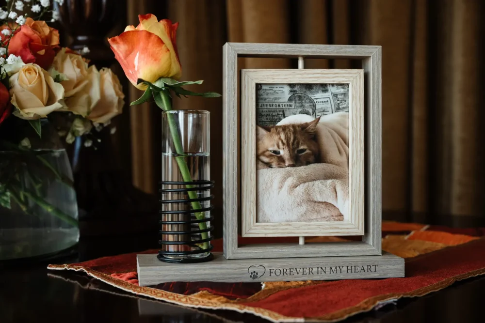 Cat In Loving Memory - Photo Frame - Forever In My Heart - Image 4