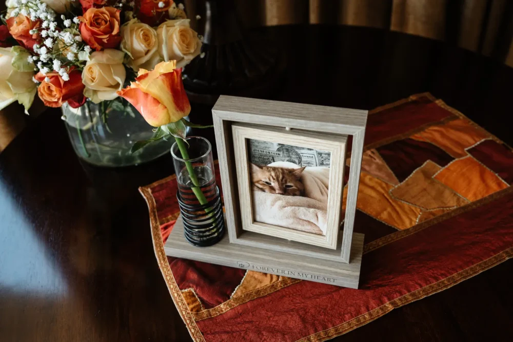 Cat In Loving Memory - Photo Frame - Forever In My Heart - Image 7