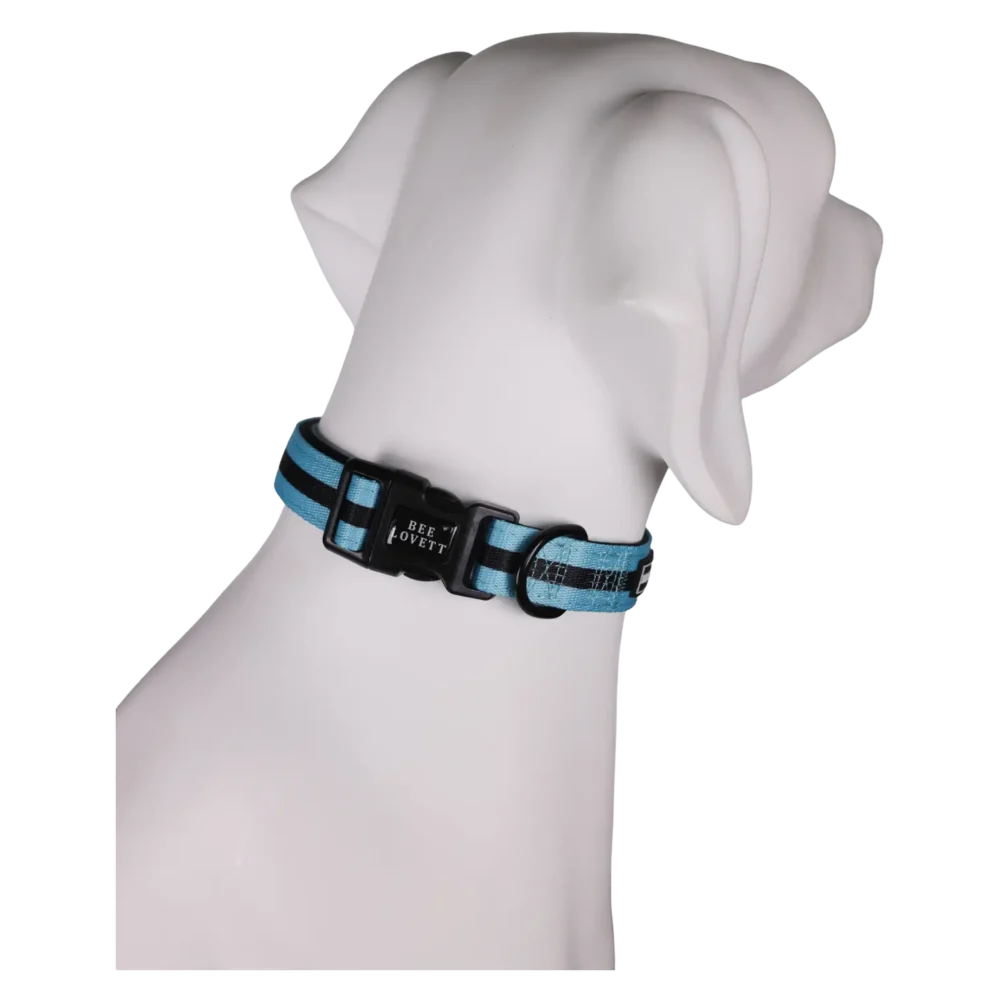 Dog Collar - Aqua Stripes - Image 4