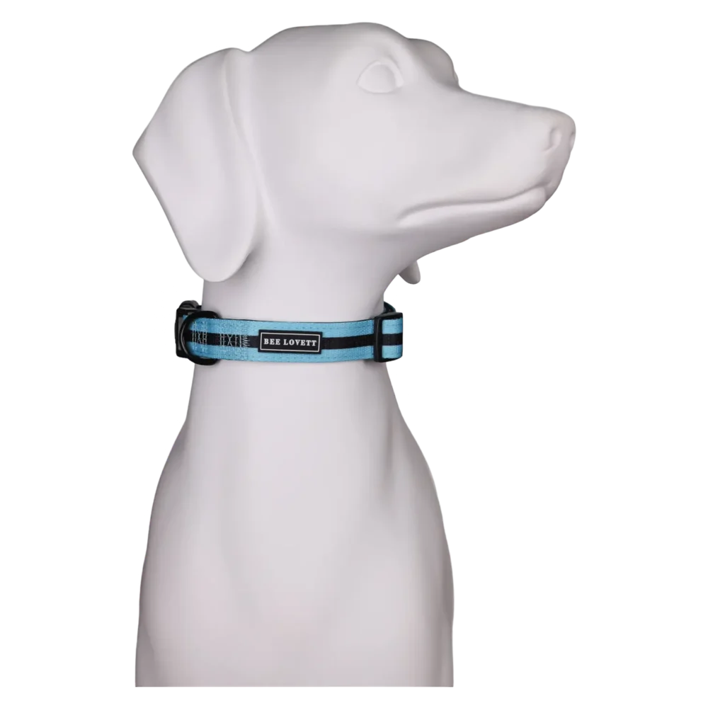 Dog Collar - Aqua Stripes - Image 3