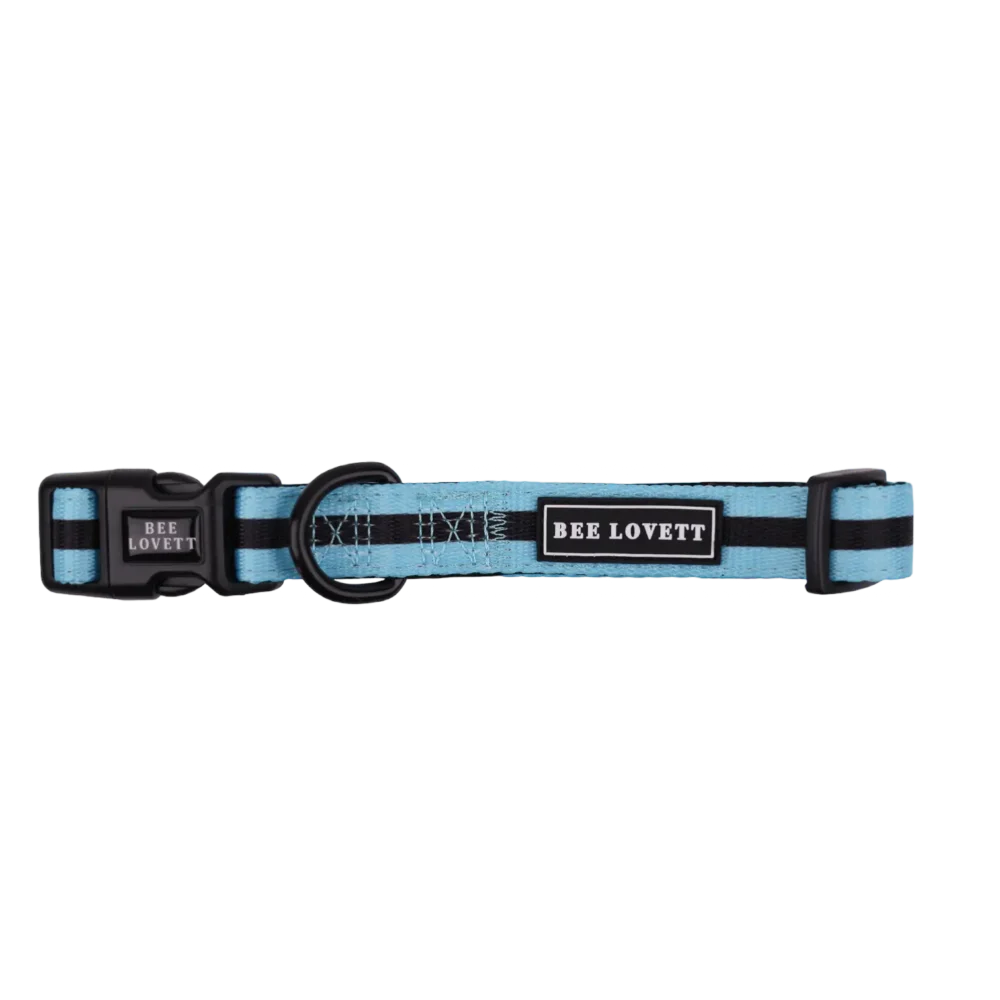 Dog Collar - Aqua Stripes