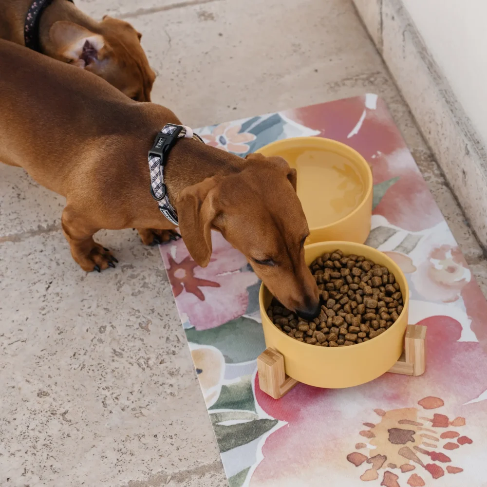 Dog Collar - Plaids - Image 6