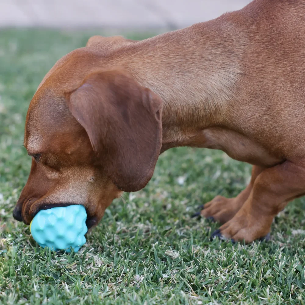 Molar Ball - Yellow and Aqua - Image 7