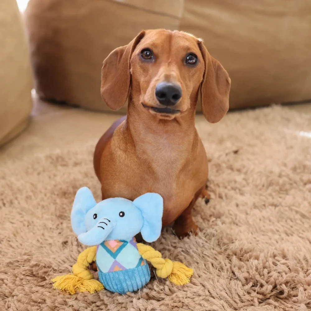 Plush Toys For Dogs - Squeaky Squad Collection - Ellie The Elephant - Image 4