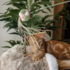 Toys For Cats - Interactive Cat Teaser Stick - Green - Image 6