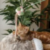 Toys For Cats - Interactive Cat Teaser Stick - Green - Image 7